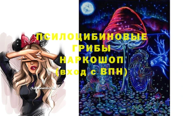 дживик Заволжск