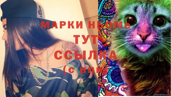 apvp Заволжье