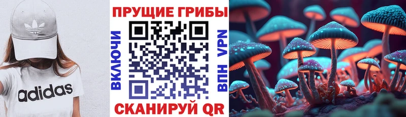 Псилоцибиновые грибы мицелий  Купить где  Новоузенск 
