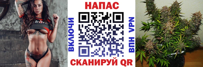 Купить закладки  Новоузенск  Каннабис план 